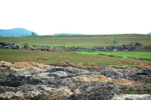 Hàng ngàn người xới tung đất tìm đá đen