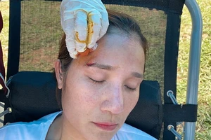 2 nghệ sĩ Cát Tường, Ái Như gặp nạn