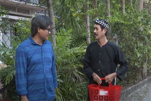 Tác hại khôn lường của việc đắp thảo dược lá lốt để trị 'bệnh khó nói'