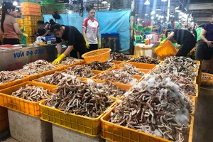 Chợ đầu mối có thể mở rộng thêm dịch vụ logistics, du lịch, cung cấp thông tin thị trường… Ảnh: TÚ UYÊN