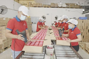 Bức tranh kinh tế Việt Nam sẽ sáng hơn trong năm 2024