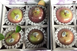 Năm nay nhà vườn, hợp tác xã đưa ra thị trường các loại hoa, trái chưng Tết mới, độc lạ như lúa tím, vú sữa ăn cả vỏ.