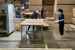 Để nền kinh tế 'vượt sóng dữ' năm 2024