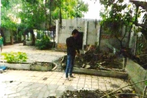 Hoãn xử vụ 'canh trộm quá tay bị ngay tù tội'