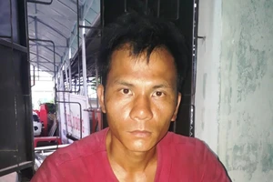 Trộm xe tải ở Phú Yên mang lên Đắk Lắk tiêu thụ