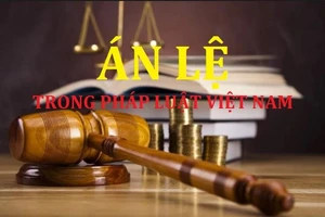 Án lệ được áp dụng sau 30 ngày thay vì 45 ngày