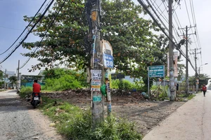 Xung quanh đề nghị ngăn chặn đất của bà Trần Uyên Phương