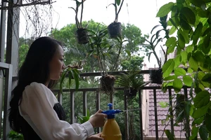 Vụ tài xế Mercedes: 3 cái đúng nhưng sao vẫn thấy sai?