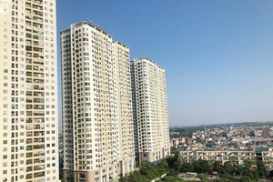 ảnh minh họa: TP