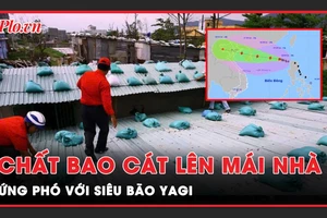 Cách chống bay mái tôn, gia cố nhà cửa để ứng phó với bão Yagi