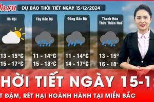 Thời tiết ngày 15-12: Miền Bắc hứng rét đậm, rét hại; Miền Trung trời chuyển rét kèm mưa giông