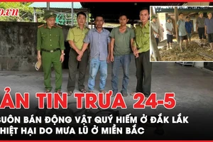 Bản tin trưa 24-5: 6 địa bàn trọng điểm buôn bán động vật quý hiếm ở Đắk Lắk; Bắt đầu có thiệt hại do mưa lũ ở miền Bắc