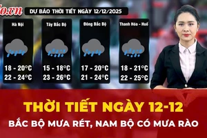 Thời tiết ngày 12-12: Bắc Bộ mưa rét, Nam Bộ có mưa rào 
