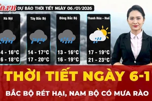 Thời tiết ngày 6-1: Bắc Bộ rét đậm rét hại, Nam Bộ có mưa rào rải rác