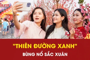 Du khách đổ bộ Cần Giờ check-in lễ hội khinh khí cầu: "Thiên đường xanh" bùng nổ sắc xuân