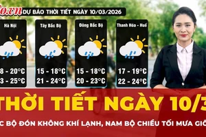 Thời tiết ngày 10-3: Bắc bộ đón không khí lạnh, Nam Bộ chiều tối mưa giông