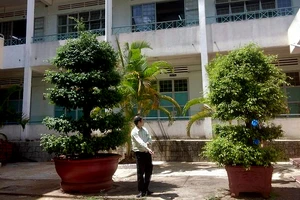 Hiện trường nơi xảy ra vụ nữ sinh cấp 2 rơi xuống sân trường. Ảnh: LQL