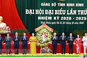 Ông Trần Quốc Vượng dự và chỉ đạo Đại hội Đảng bộ Ninh Bình