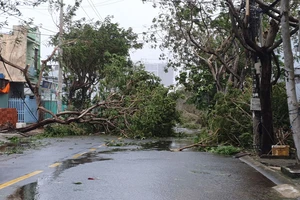 Bão số 9 tiếp tục quần thảo ở TP Đà Nẵng,Thừa Thiên- Huế 