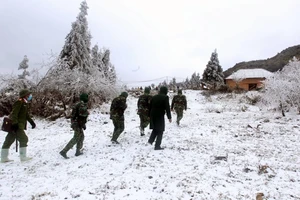 Bộ đội đồn biên phòng Y Tý (Bát Xát, Lào Cai) tuần tra trong điều kiện thời tiết băng giá, mưa tuyết ngày 13/1. Ảnh: TTXVN