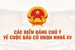Infographic: Thông tin đáng chú ý về bầu cử Quốc hội khóa XV