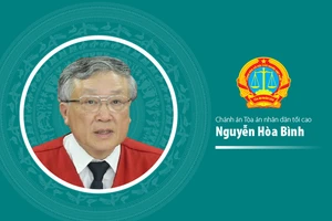 Infographic: Chân dung Chánh án Tòa án Nhân dân Tối cao Nguyễn Hòa Bình
