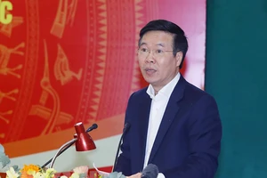 12 vụ việc phải tạm đình chỉ do hết thời hạn nhưng chưa có kết quả giám định