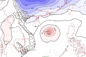 Nguồn ảnh: NCHMF