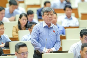 “Rừng luật…”