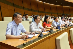 Đại biểu: Thực tiễn và chuyên môn