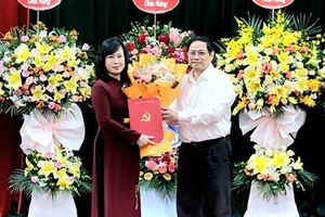 Bí thư Bắc Ninh Đào Hồng Lan làm quyền Bộ trưởng Bộ Y tế