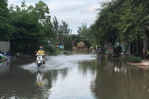 Cử tri Nhà Bè mong dự án chống ngập 10.000 tỉ sớm hoàn thành
