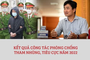17 cán bộ thuộc diện Bộ Chính trị, Ban Bí thư quản lý bị khởi tố năm 2022