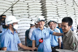 Phục hồi và phát triển