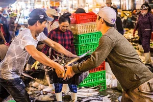 Công điện mới nhất của Thủ tướng về gỡ cảnh báo thẻ vàng cho hải sản