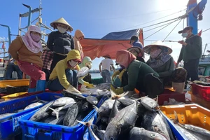 Trang thiết bị thô sơ trên tàu giã cào của ngư dân Phạm Sai, tỉnh Quảng Ngãi.