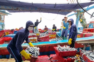 Gỡ thẻ vàng, bảo đảm sinh kế ngư dân là nhiệm vụ cấp thiết