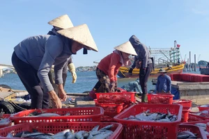 Quảng Trị giúp ngư dân nắm vững ngư trường, làm giàu từ biển