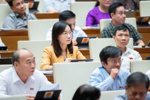 Nóng tranh luận về 2 luật ngân sách và đầu tư công