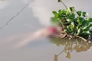 Thi thể người phụ nữ mặc áo sơ mi không cài nút trôi trên rạch ở Củ Chi