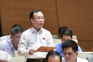 Cha, mẹ, vợ, chồng, con… không được cùng đăng ký tham gia đấu giá 