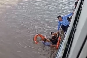 Hải Phòng: Nam du khách nhảy từ phà xuống biển tự tử