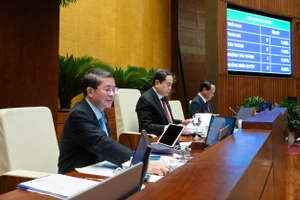 Quốc hội 'chốt' bổ sung việc đấu giá biển số xe vào Luật Trật tự, an toàn giao thông đường bộ