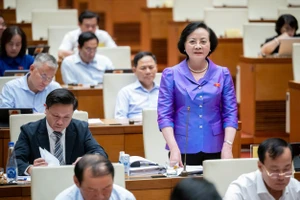 Bộ trưởng Phạm Thị Thanh Trà nói về việc thí điểm đội trật tự đô thị cấp huyện ở TP.HCM, Hà Nội