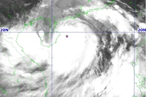 Siêu bão số 3 giật cấp 17 đang cách Quảng Ninh 550 km
