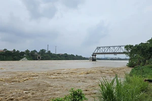 Thủ tướng có chỉ đạo về việc xây cầu Phong Châu mới