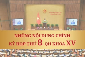 Infographic: 18 luật, 4 nghị quyết quan trọng thông qua tại Kỳ họp 8