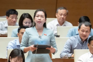 Cần quy định rõ để tránh chồng chéo, đùn đẩy trách nhiệm trong lập quy hoạch