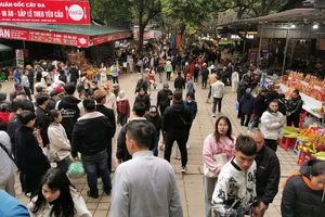 Thủ tướng yêu cầu cán bộ không du xuân, đi chúc Tết trong giờ làm việc