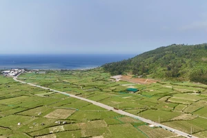 Chính quyền địa phương sau sáp nhập tỉnh, xã, bỏ cấp huyện dự kiến ra sao?